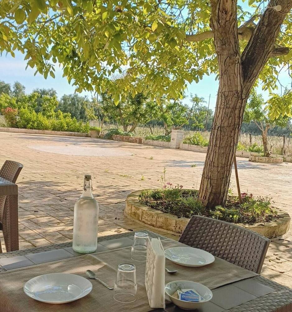 Tenuta Vigna del Noce 1