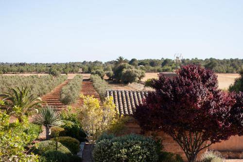 Finca Agroturismo Can Carro 1