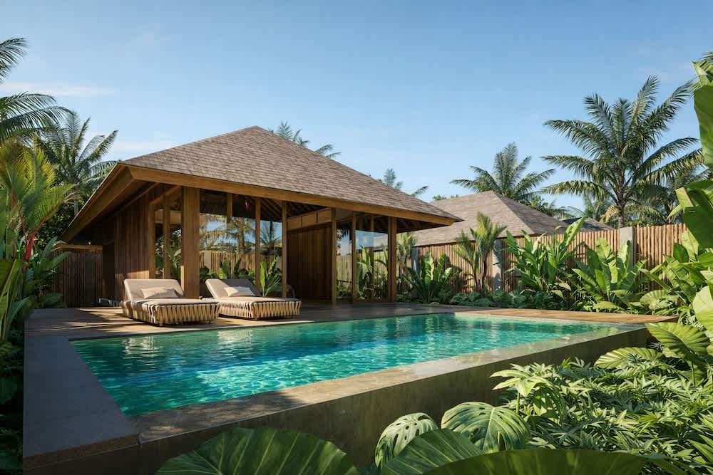 Kappa Senses Zanzibar 1