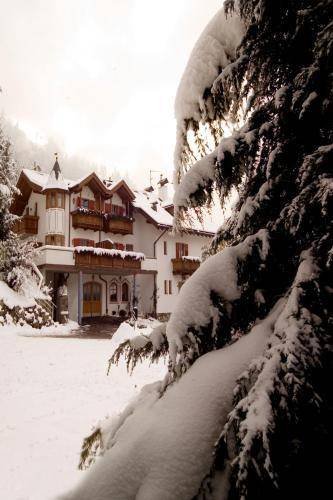 Hotel Waldheim Belvedere 2