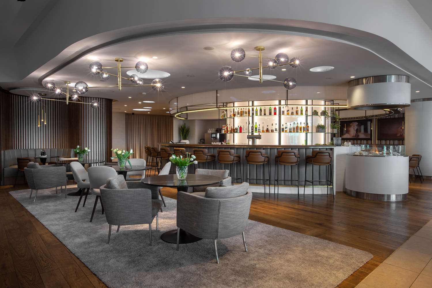 Radisson Blu, Basel 1