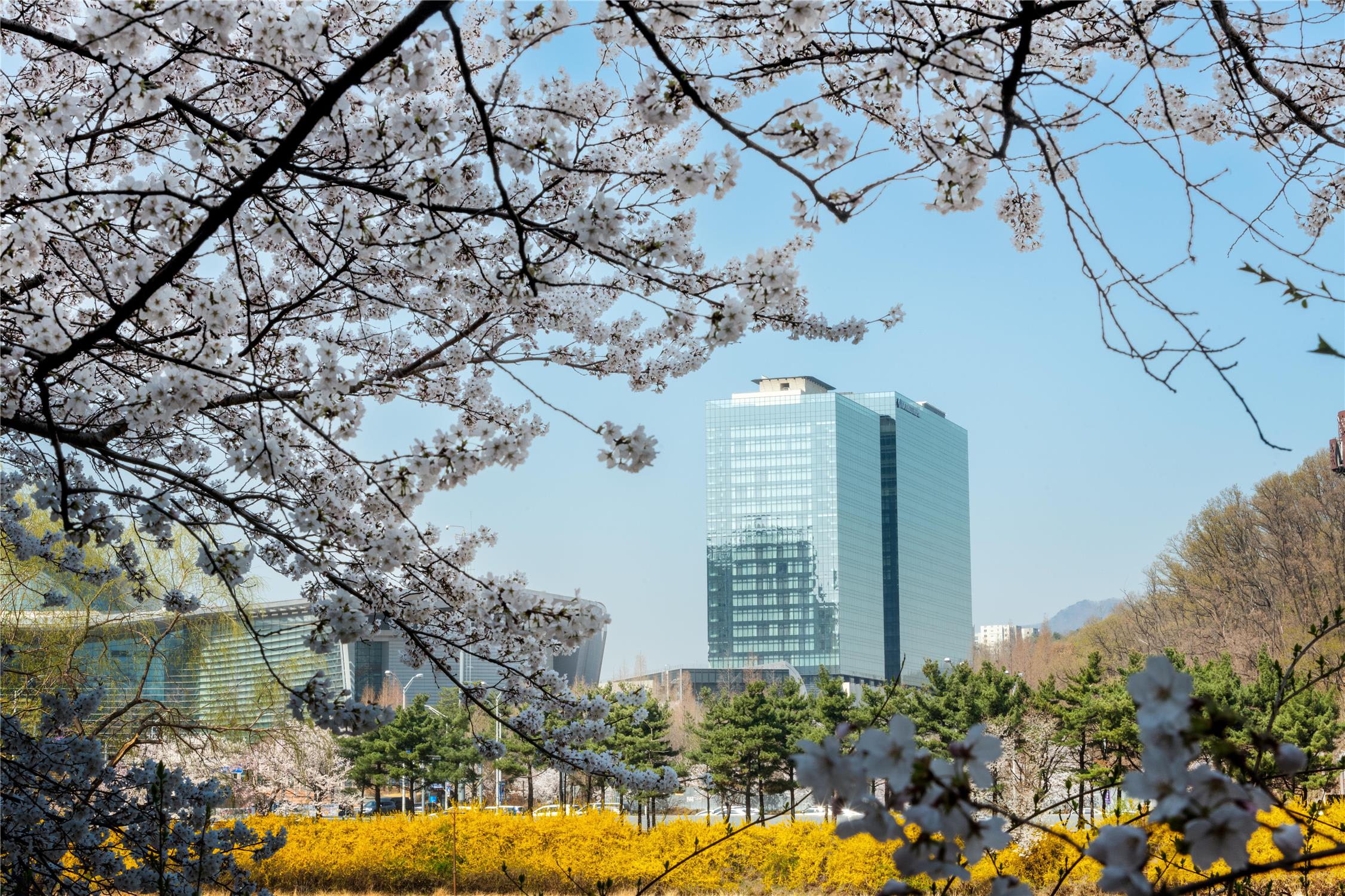 DoubleTree By Hilton Seoul Pangyo Residences 2