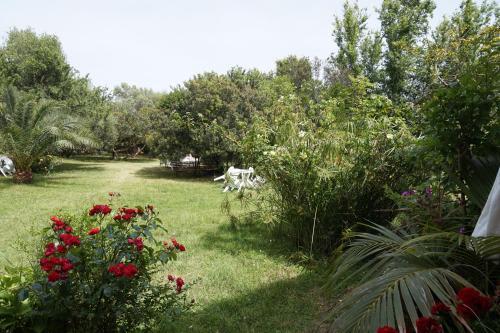 Hotel Onda Marina 2