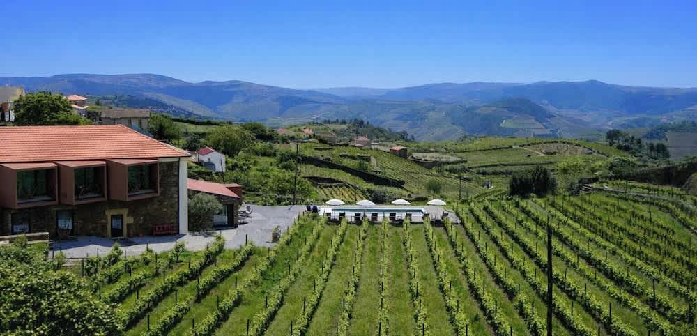 Casa do Santo - Wine & Tourism 1