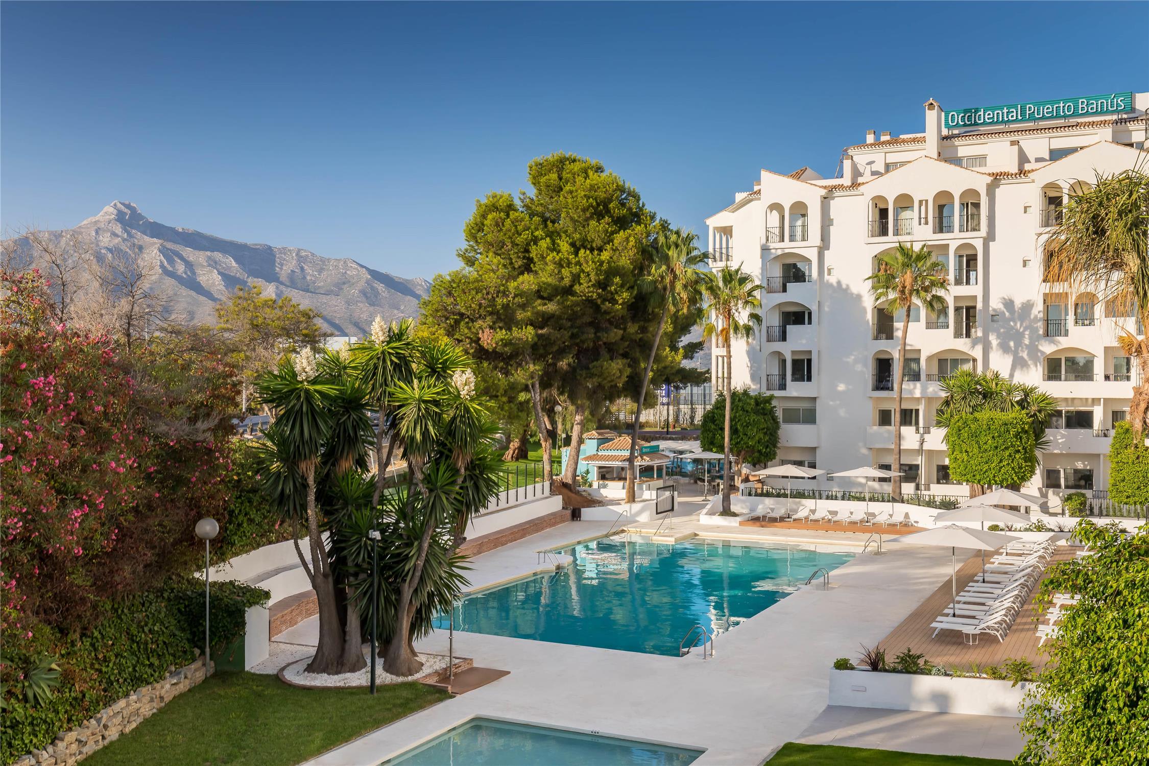 Occidental Puerto Banus 1