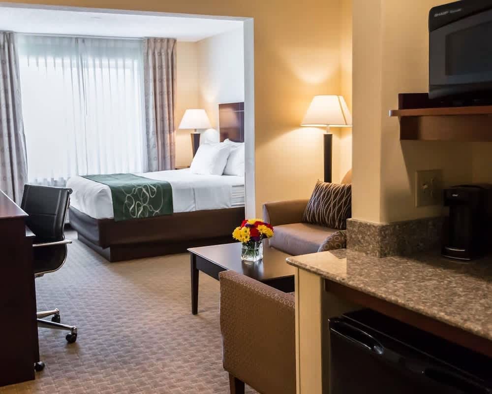 Comfort Suites University Area Notre Dame-South Bend 1