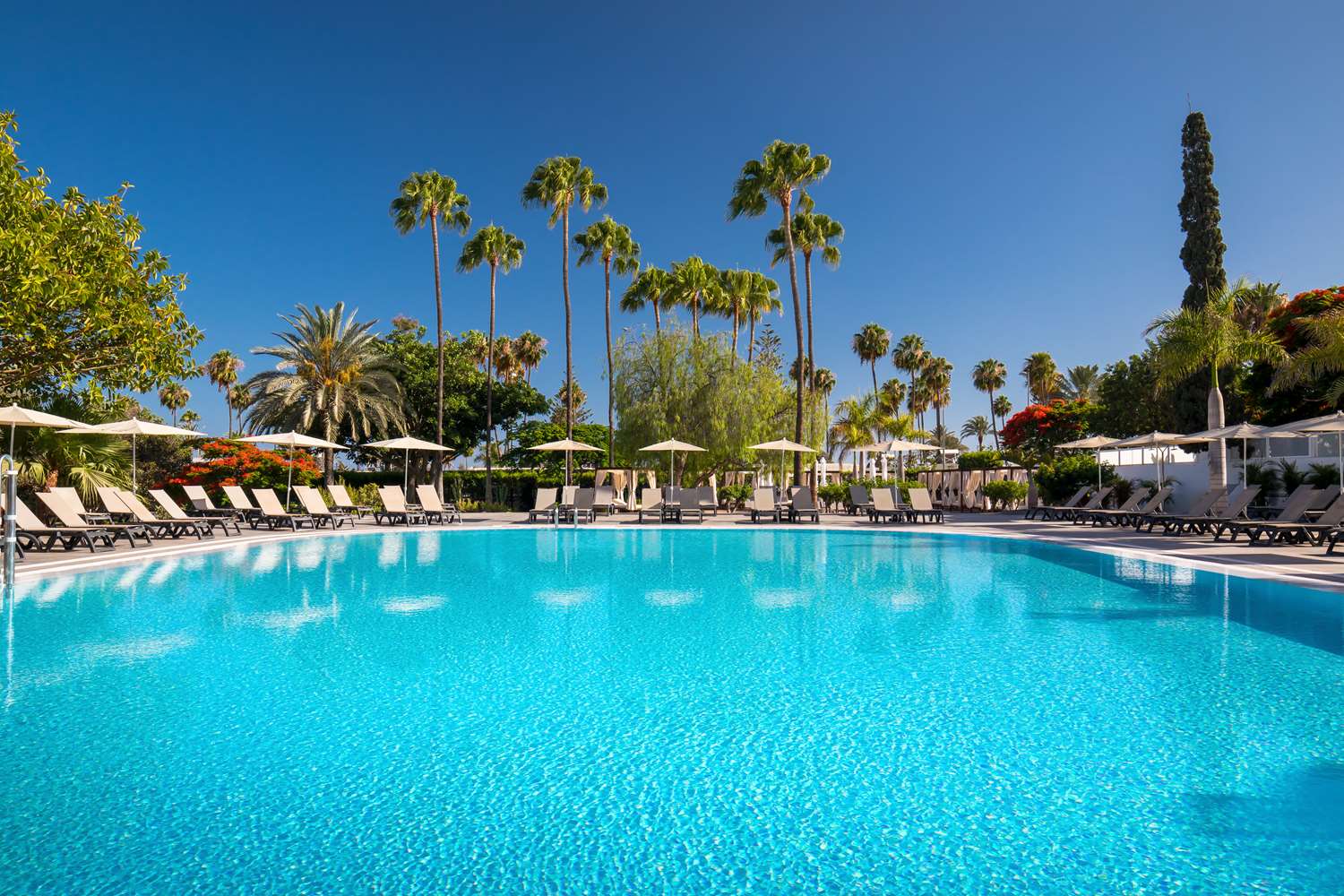 Barcelo Margaritas Royal Level 1