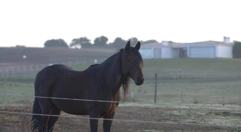 Herdade do Gizo - Casa Reis 1