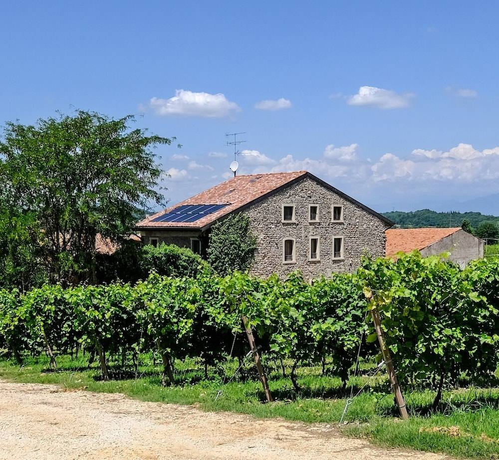Seiterre Agriturismo Tenuta San Leone 1