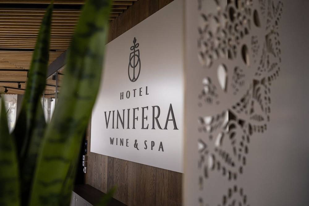 Hotel Vinifera Wine & Spa 5 Stars Superior 2