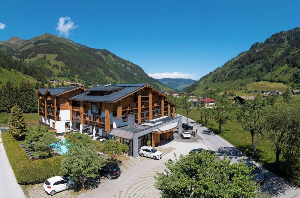 Hotel Alpina Rauris 1