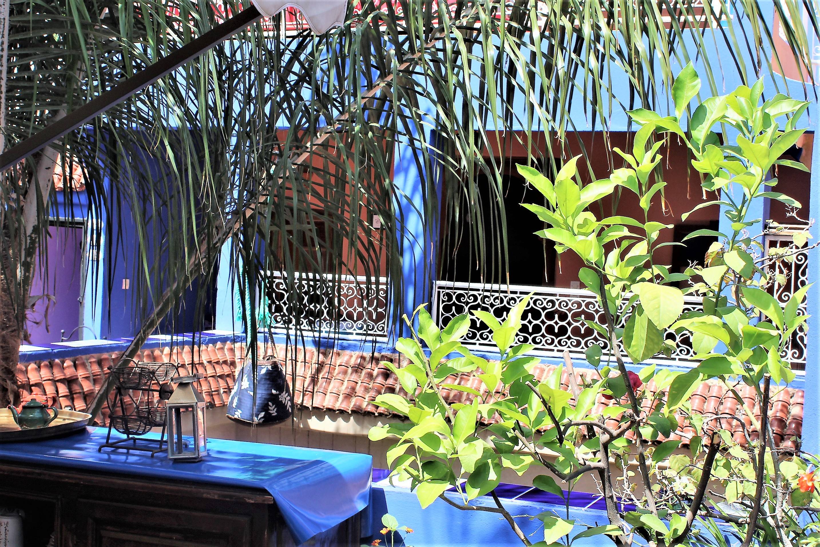 Riad Alamine 1