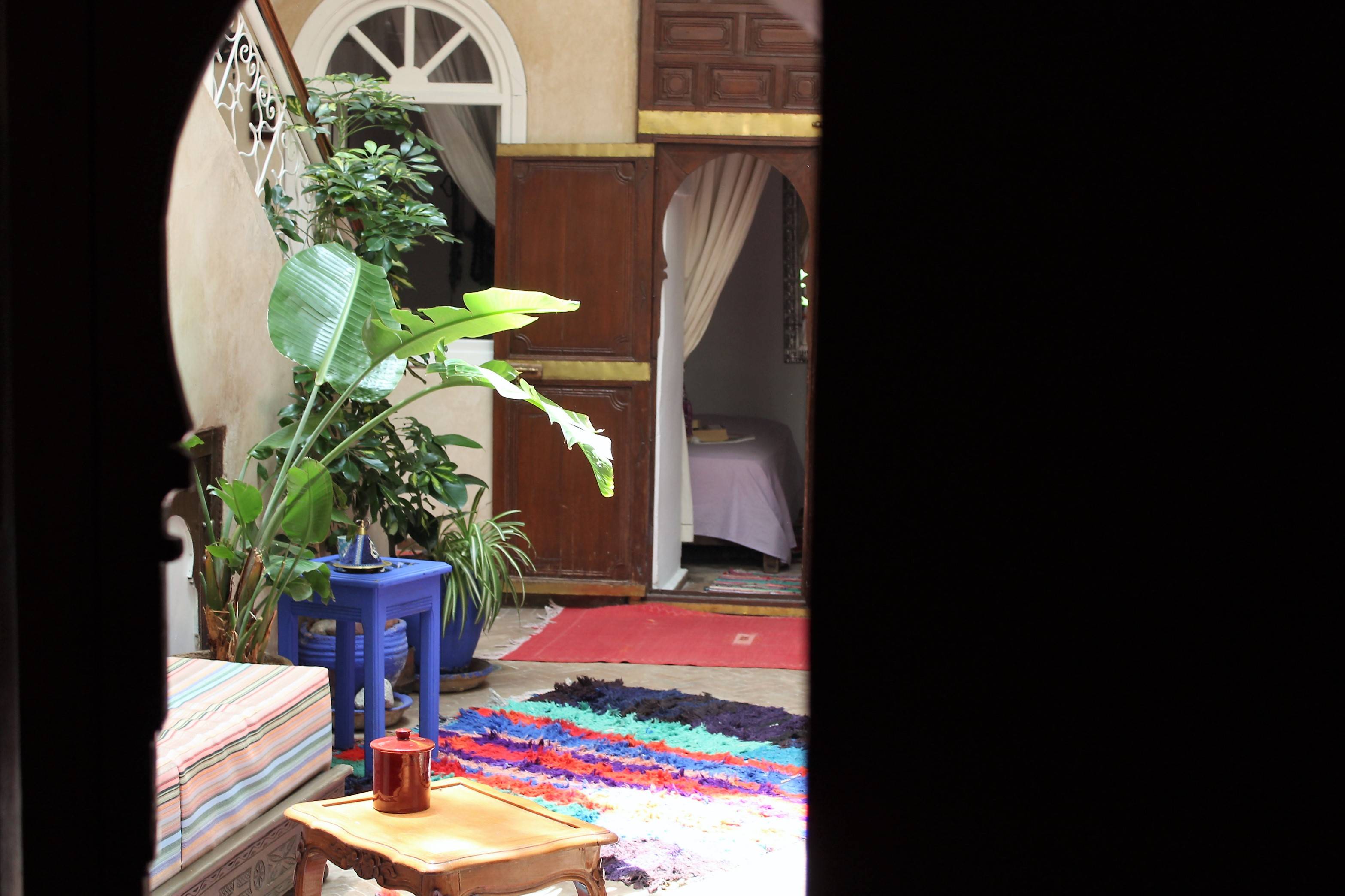 Riad Alamine 2