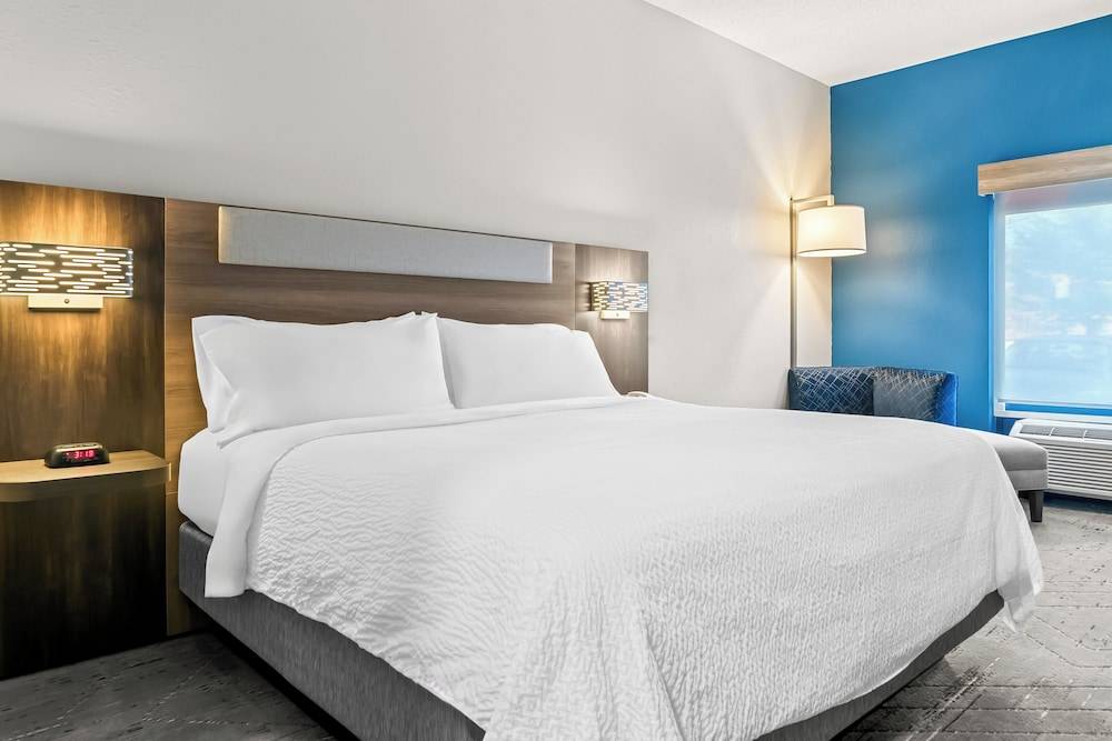 Holiday Inn Express & Suites DETROIT-NOVI by IHG 2