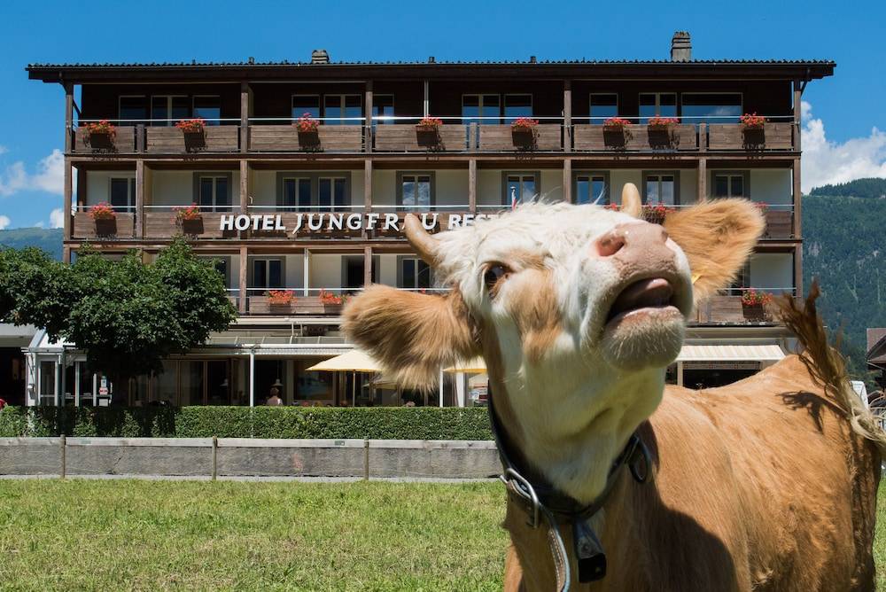 Jungfrau Hotel 1