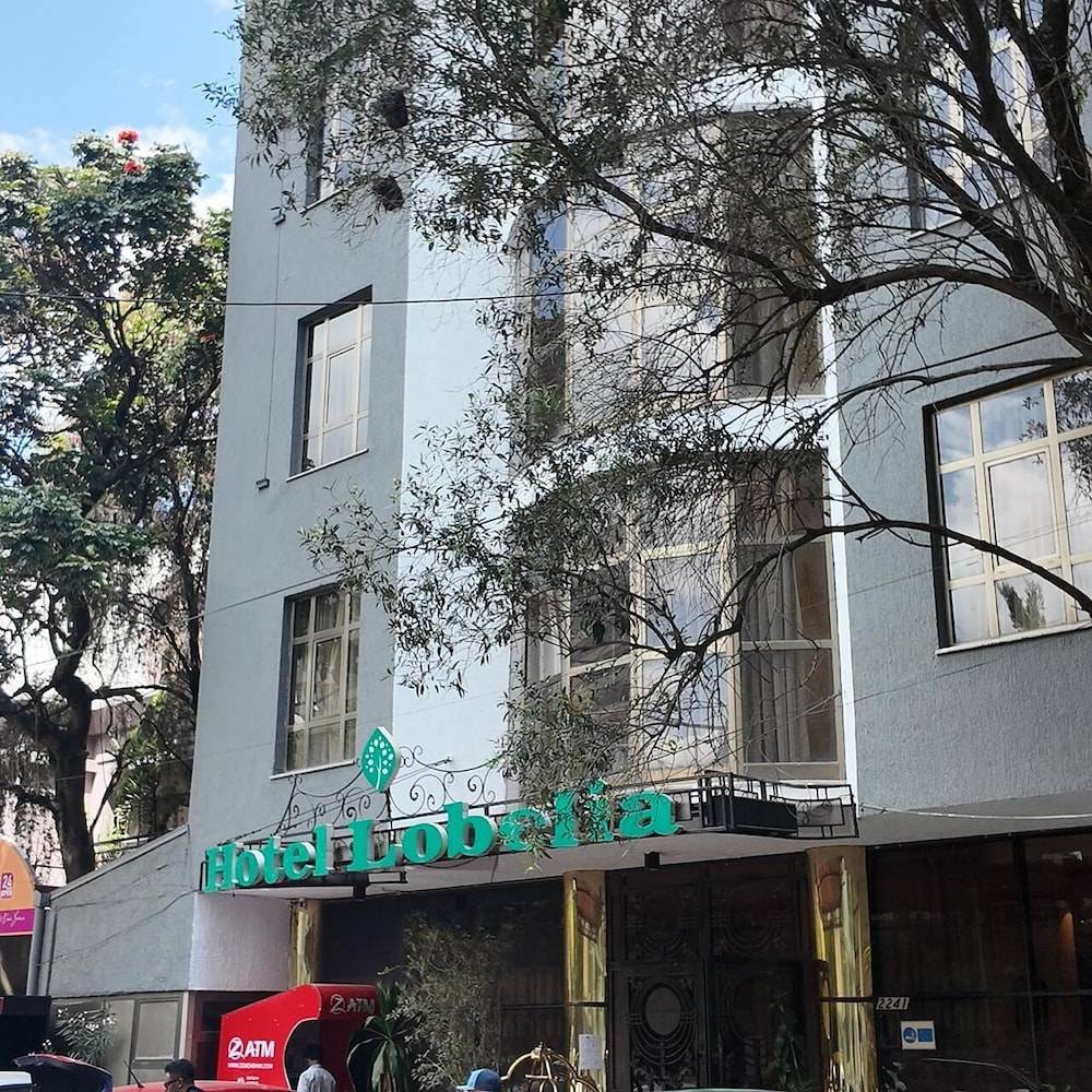 Hotel Lobelia 1