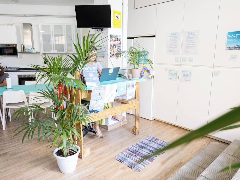 Medano Nest Hostel 1