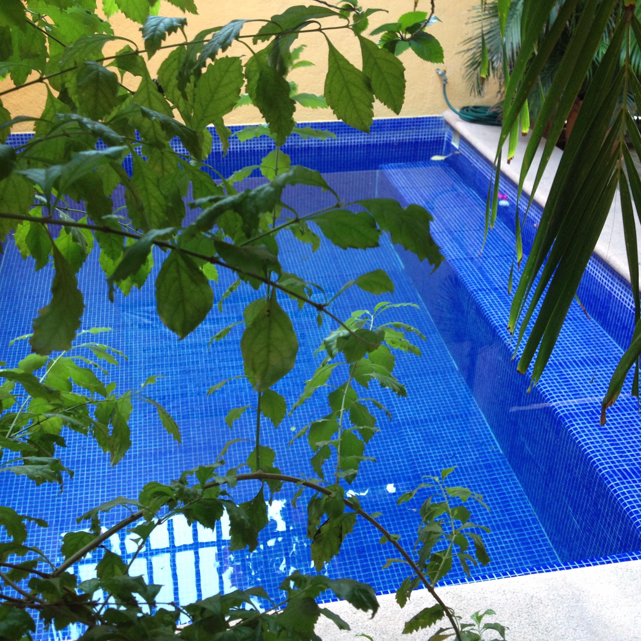 Hotel Las Salinas 2