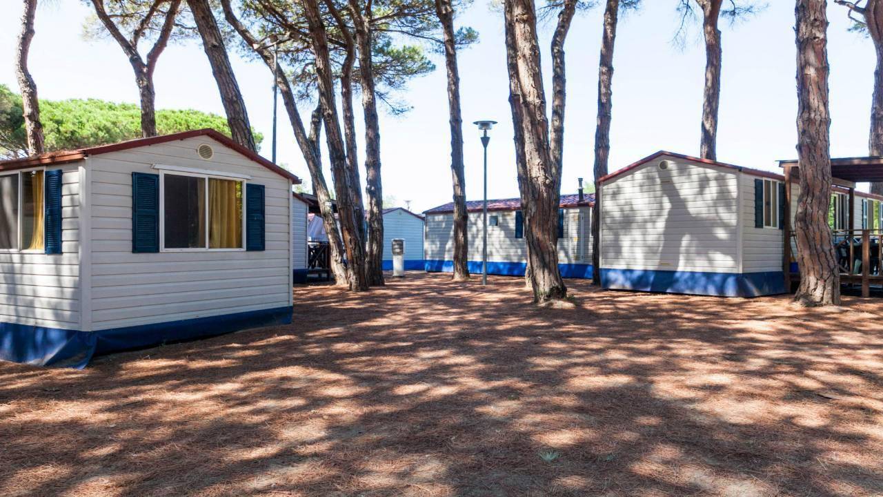 Pineta Sul Mare Camping Village 1