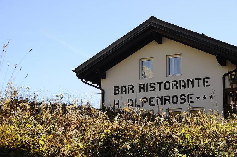 Hotel Alpenrose 1