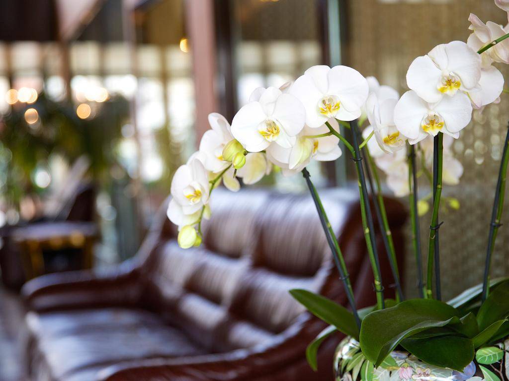 Hotel Garni Geisler 1