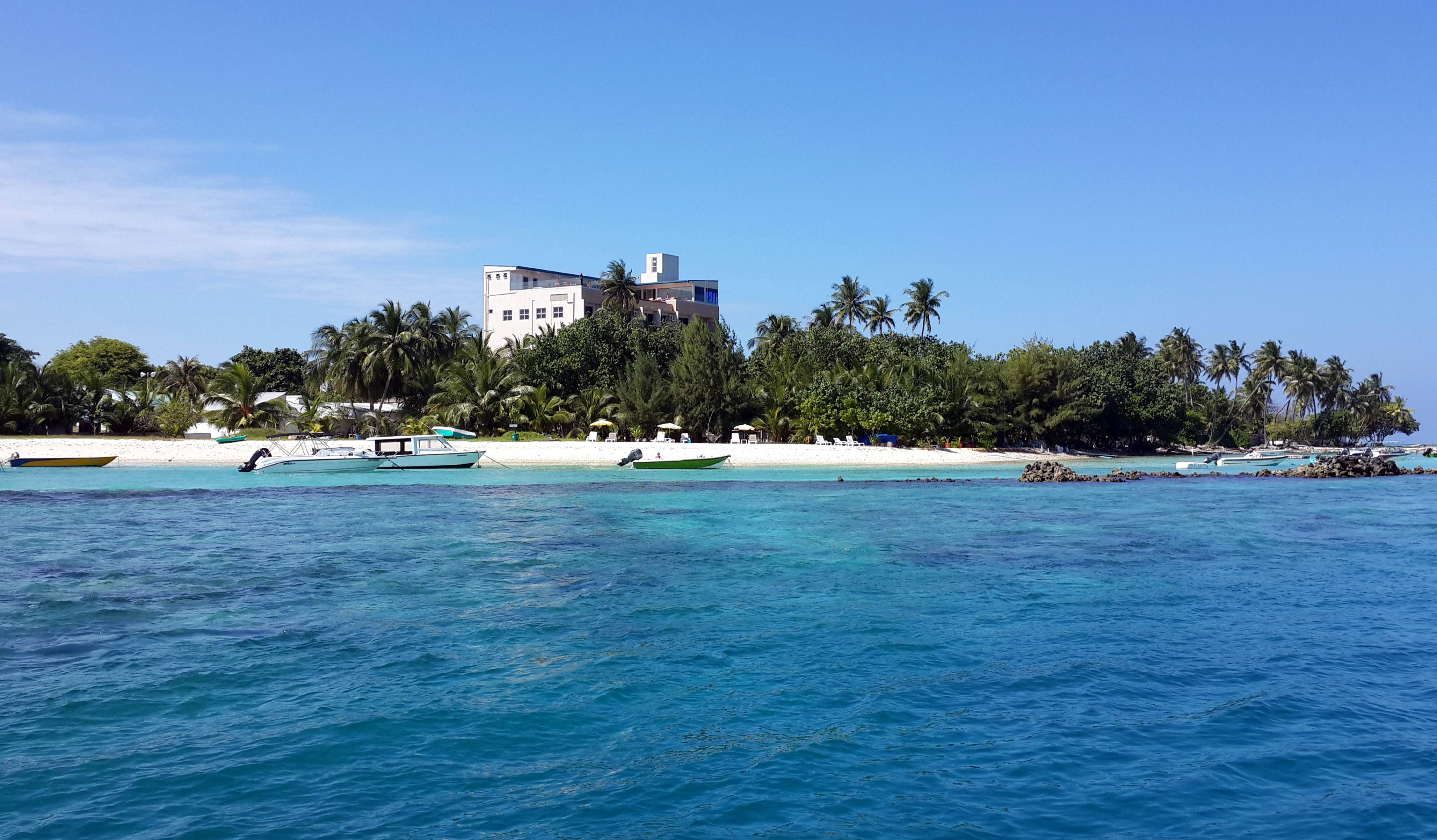 Season Paradise 2