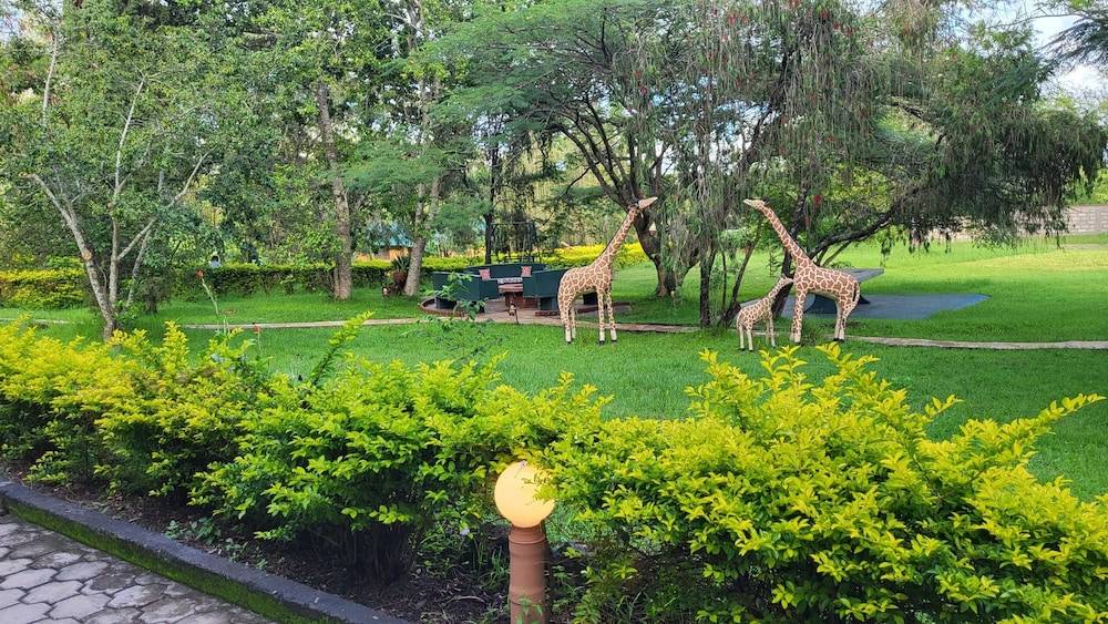 Meru View Lodge 1