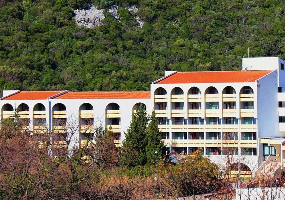 Hotel Zlatibor 1