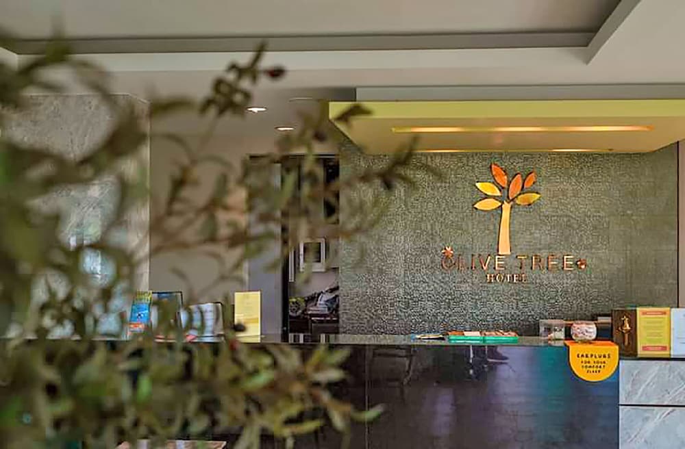 Olive Tree Hotel 2