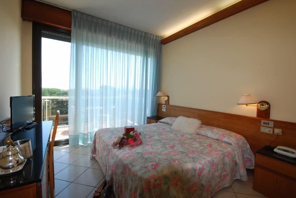 Hotel Napoleon 2
