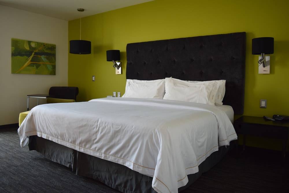 Holiday Inn Express TOLUCA GALERIAS METEPEC by IHG 2