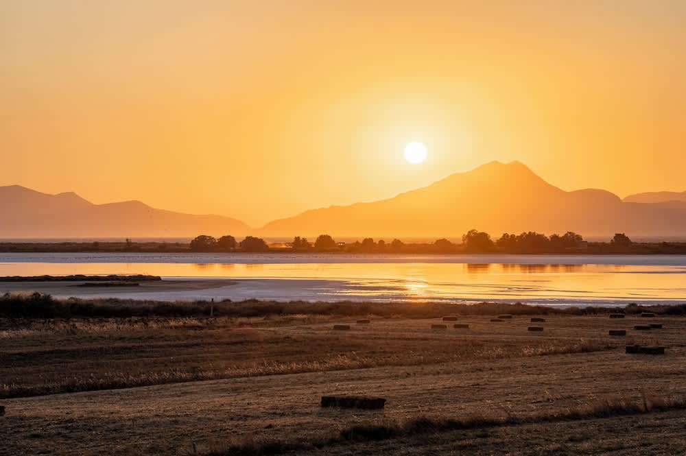 Oasis Tigaki 1