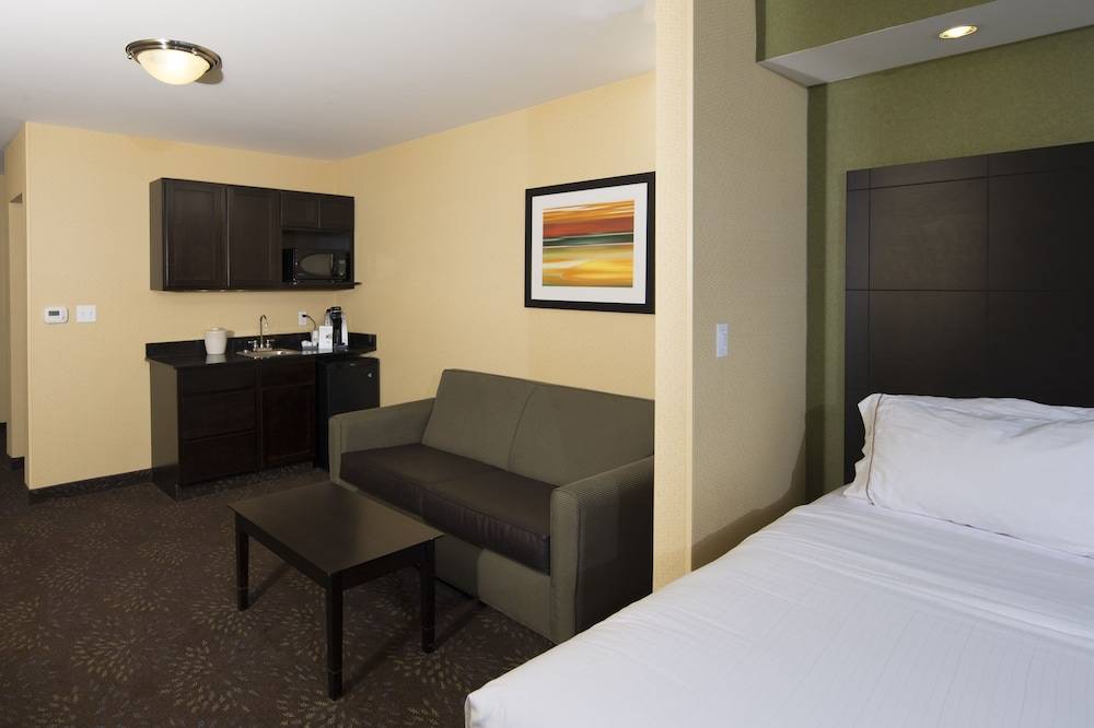 Holiday Inn Express & Suites DETROIT NORTH - TROY by IHG 2