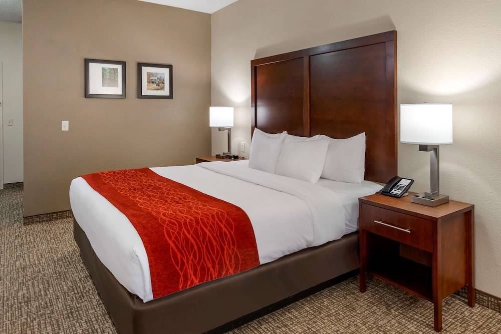 Comfort Inn & Suites Canton Riverstone Area 2