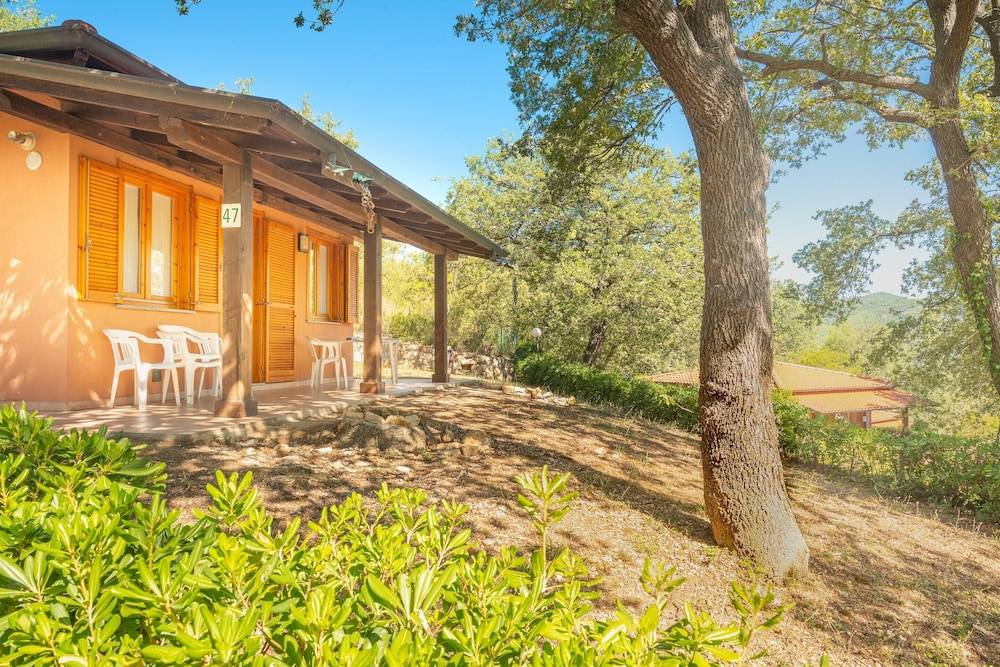 Holiday Complex With Pool in Andora 1