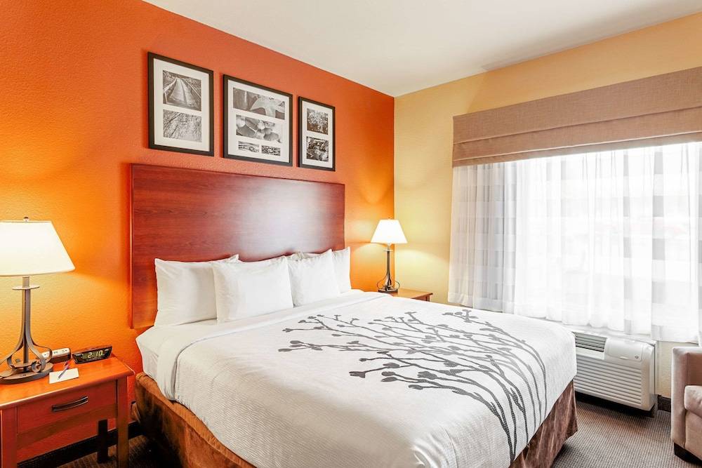 Sleep Inn & Suites Tyler South 1