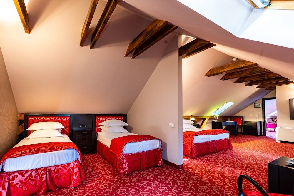Hotel Central Park Sighisoara 1