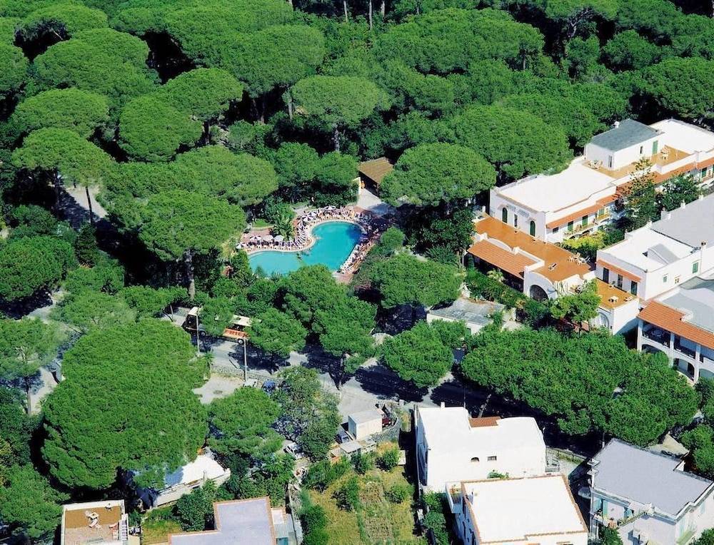 Hotel Pineta 1