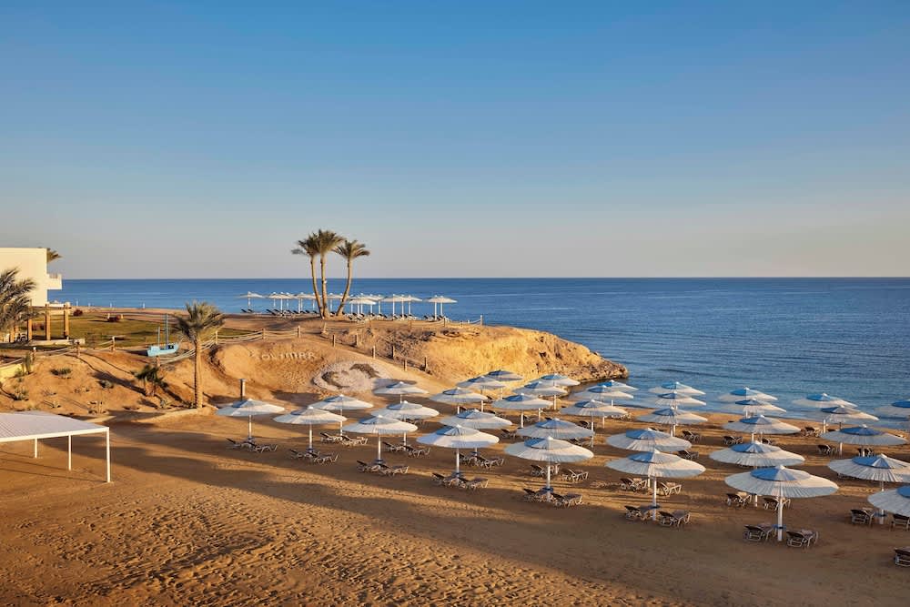 JAZ Neo Reef Marsa 1