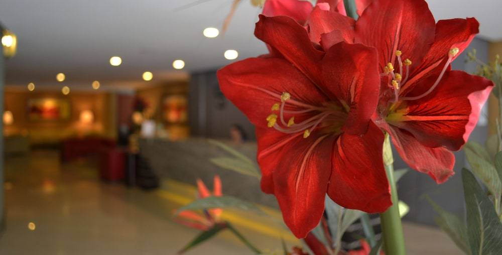 Hotel Alborada 2