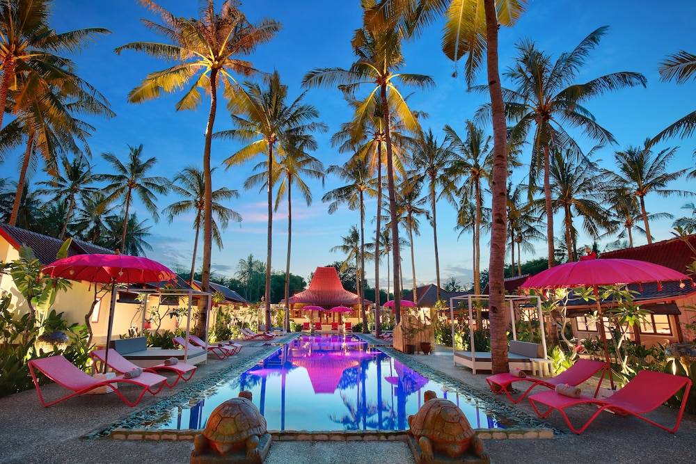PinkCoco Gili Air - Constant Surprises & for Cool Adults Only 1