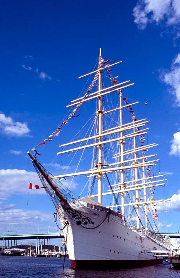 Barken Viking 2