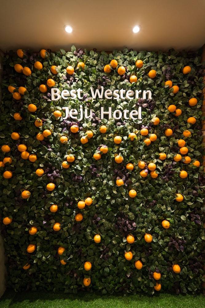 Best Western Jeju Hotel 2