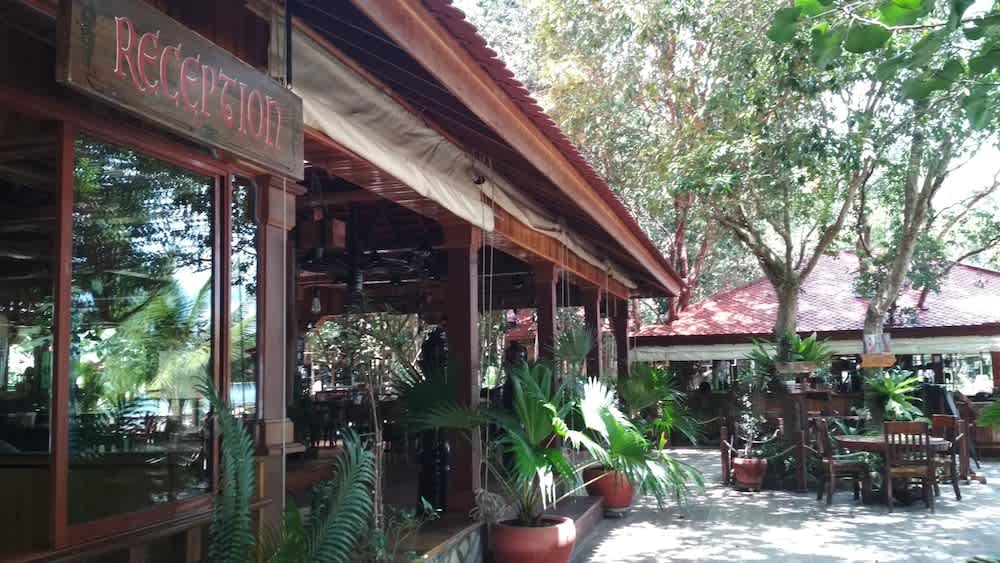Tree House Bungalows 2