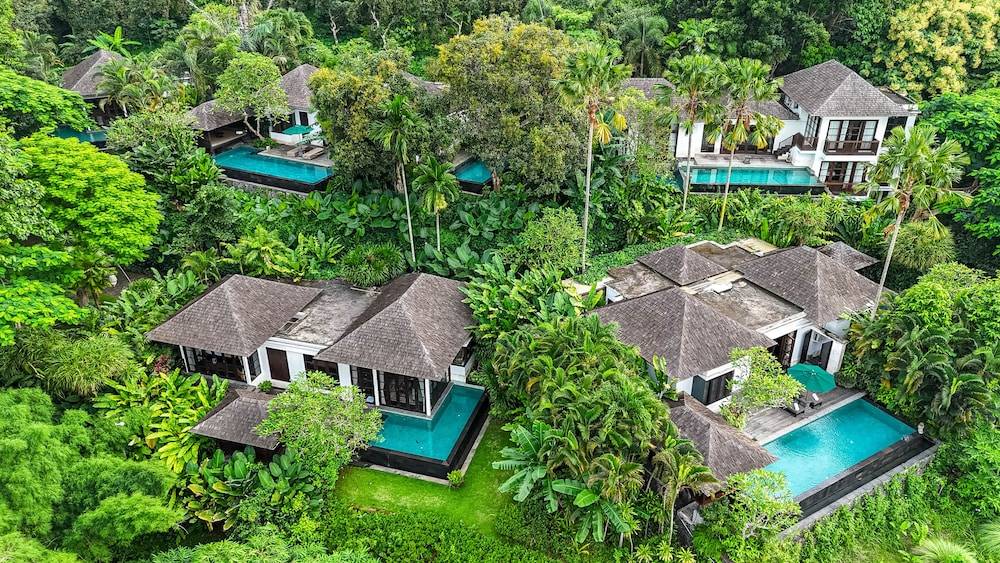 The Damai 1