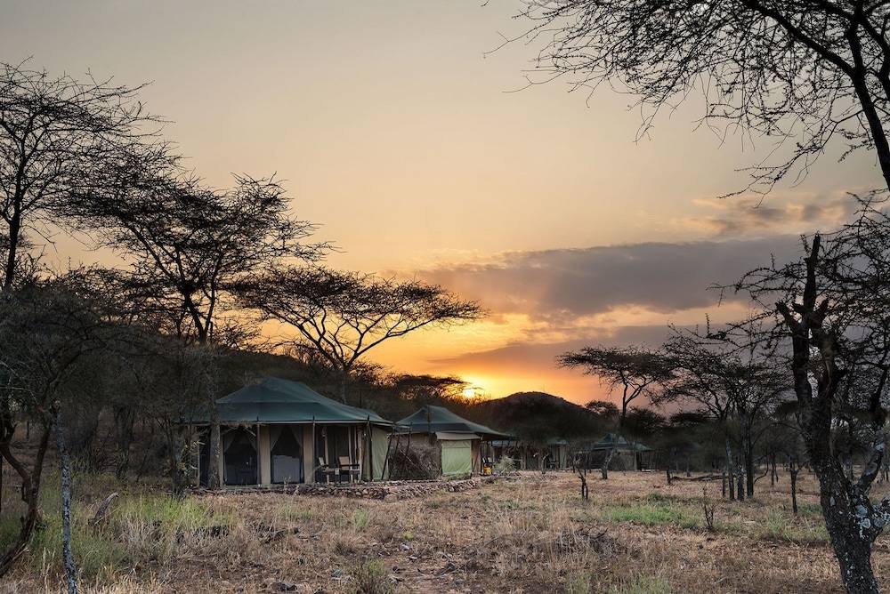 Wellworth Ole Serai Luxury Camp - Moru Kopjes 1