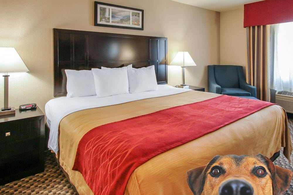 Comfort Inn Troutdale-Portland East 2