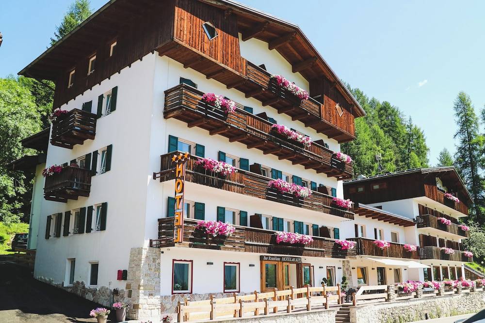 Hotel Des Alpes 1