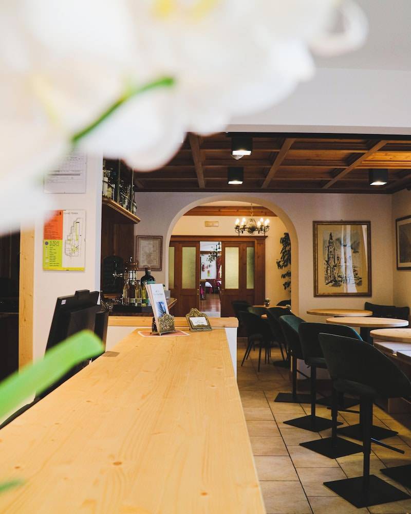 Hotel Des Alpes 2