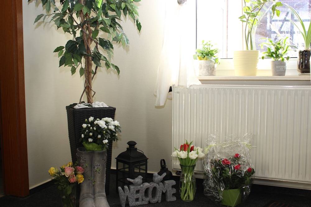 Gasthof und Pension Frankenthal - garni 2